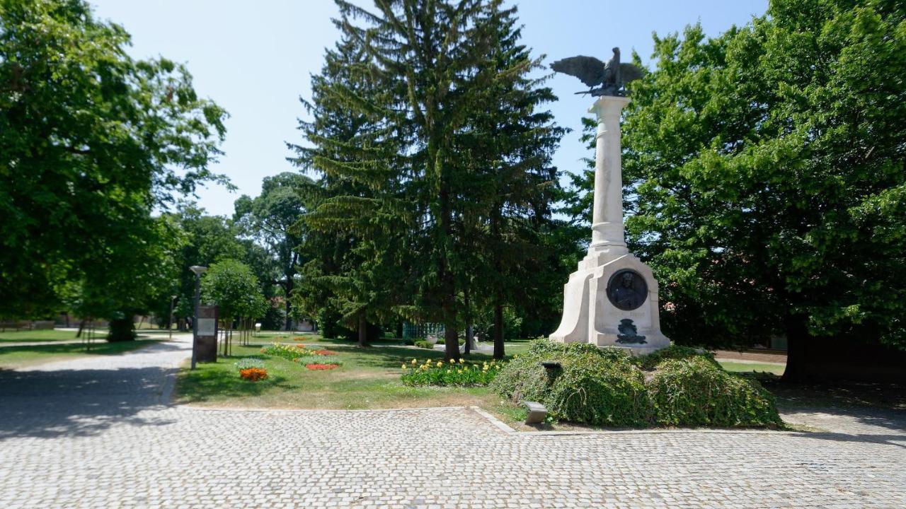 Maximus Apartment Cakovec